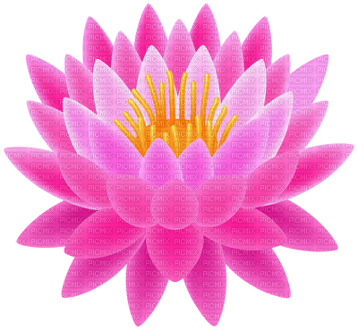 Kaz_Creations Flowers Flower - png gratuito