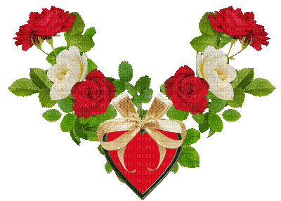 srce ruža - GIF animado gratis