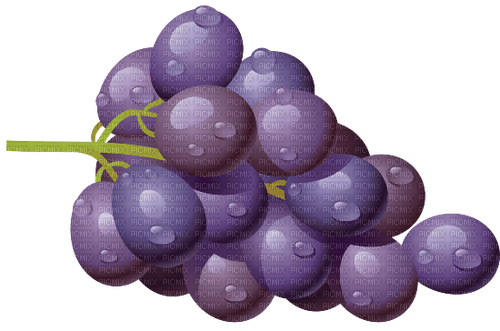 Grapes   Bb2 - bezmaksas png
