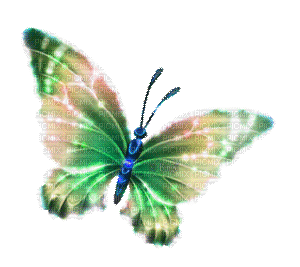 Y.A.M._Fantasy butterfly - Ingyenes animált GIF