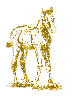 aze cheval jaune yellow - GIF animé gratuit