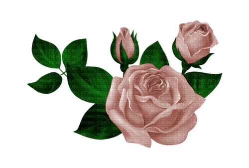 autumn deco kikkapink png vintage pink roses - darmowe png