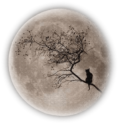 moon anastasia - безплатен png