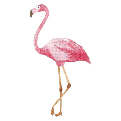 Flamingo, Aquarelle, - kostenlos png