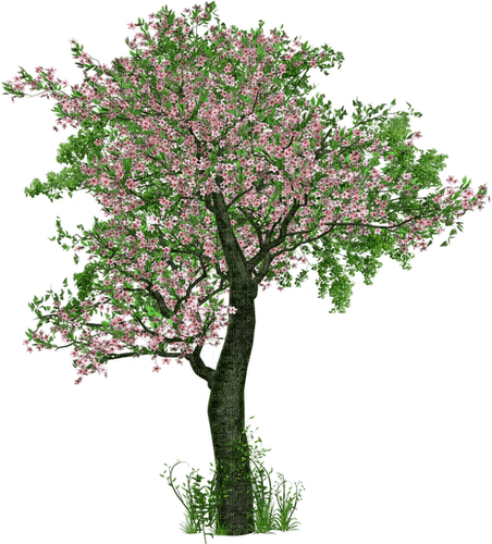 Tree - 免费PNG