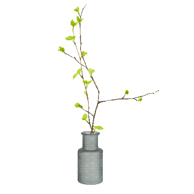 Pot.Plants.plante.vase.Deco.Victoriabea - GIF animé gratuit