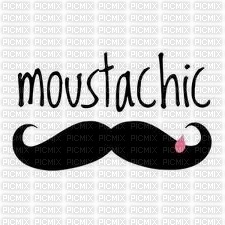 Moustache ! - nemokama png