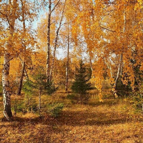 Осенний пейзаж - zadarmo png