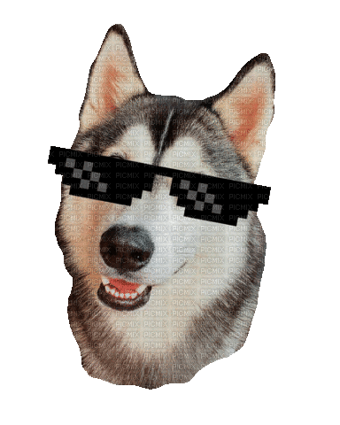 Dog Gudan - Animovaný GIF zadarmo