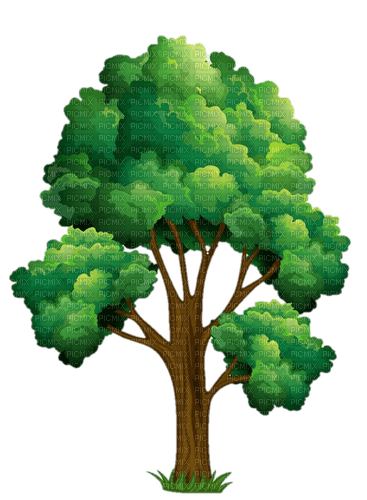 tree - PNG gratuit