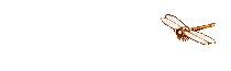 libellule - Ingyenes animált GIF