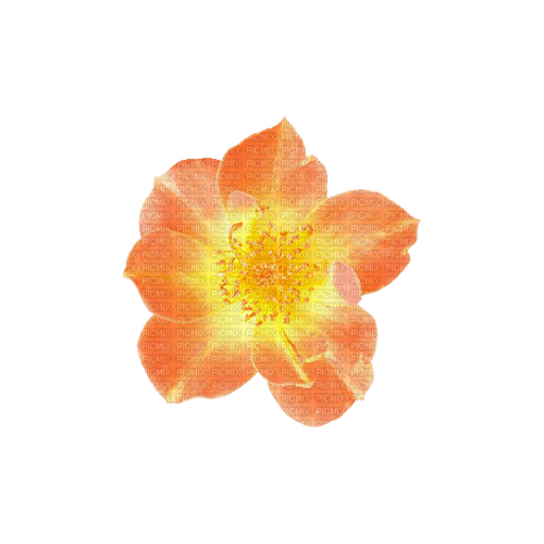 kikkapink deco scrap orange flower - безплатен png