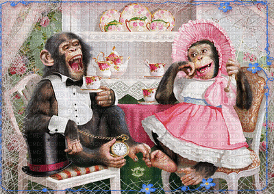 monkey bp - Besplatni animirani GIF