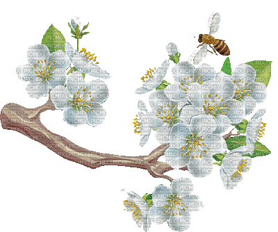 Kwiat drzewo2 - 免费PNG