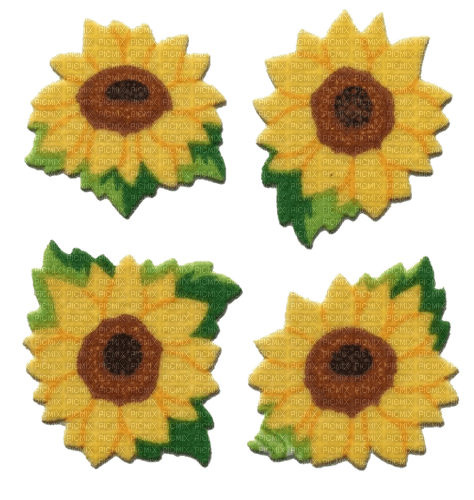 Sunflowers - бесплатно png