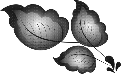 blätter black - png grátis