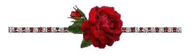 rose - Бесплатни анимирани ГИФ