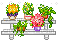 many flower - Darmowy animowany GIF