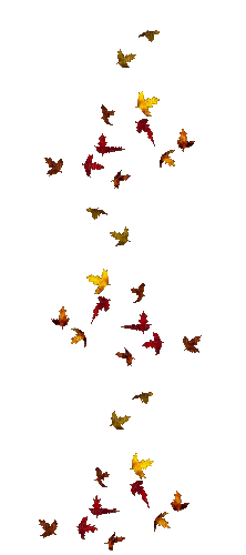 leaves butterfly gif - Zdarma animovaný GIF