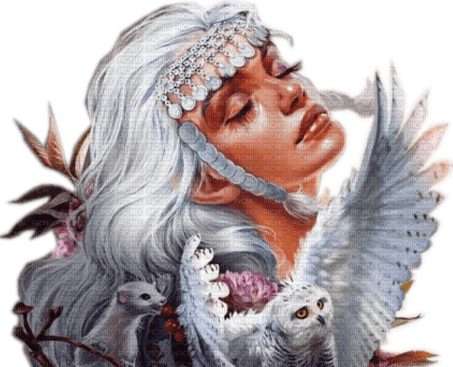 Rena Fantasy silver Girl woman Mädchen - bezmaksas png