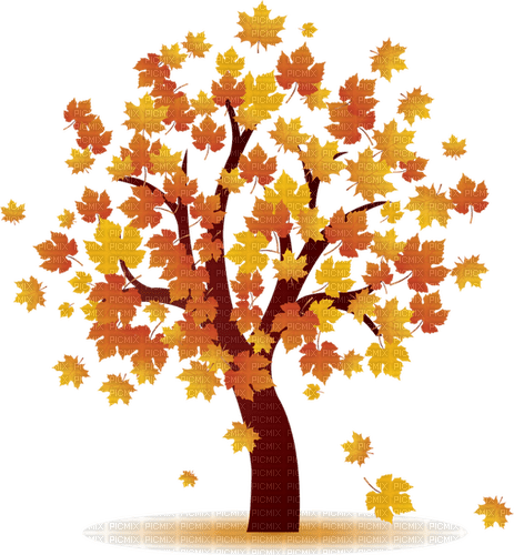 fall autumn tree arbre baum - ilmainen png