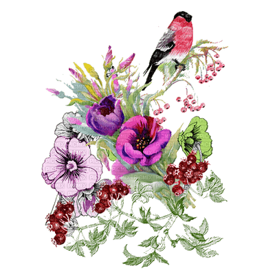 minou-bird-flower - Free PNG