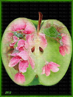 Flower Apple - GIF animate gratis
