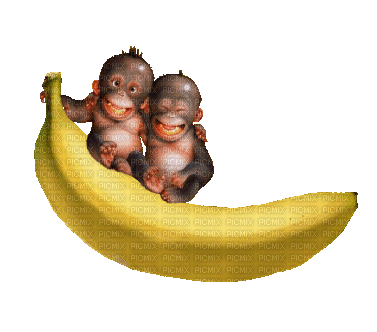 banana ape - Gratis animerad GIF