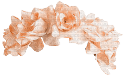 apricot-flowers - png ฟรี