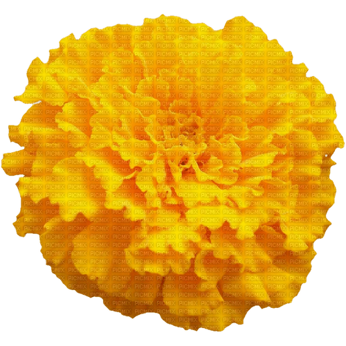 kikkapink deco scrap yellow flower - gratis png