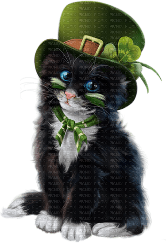 st. Patrick  cat  by nataliplus - png ฟรี