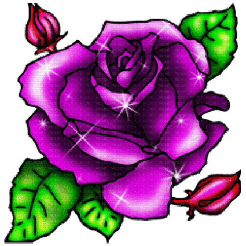 purple rose - Besplatni animirani GIF