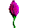 fleurs - Free animated GIF