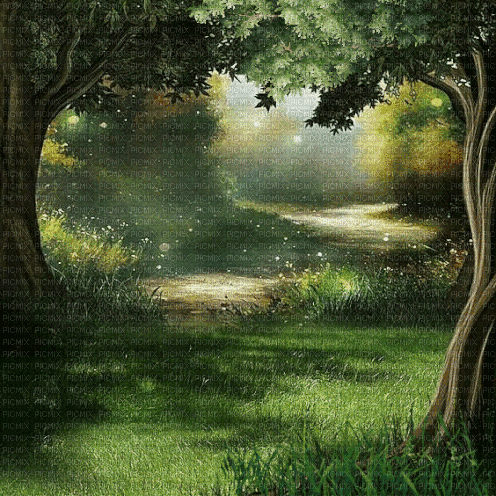 Nature.Landscape.Fond.Forêt.Victoriabea - Бесплатни анимирани ГИФ