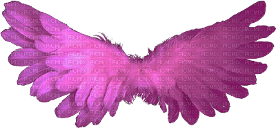 angel-wings-pink - PNG gratuit