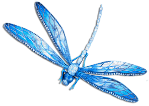 soave deco dragonfly blue - zdarma png