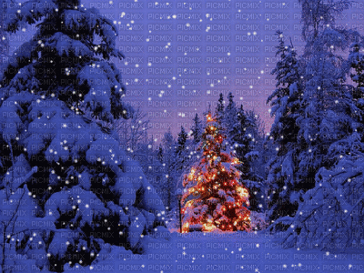 Christmas Tree - GIF animate gratis
