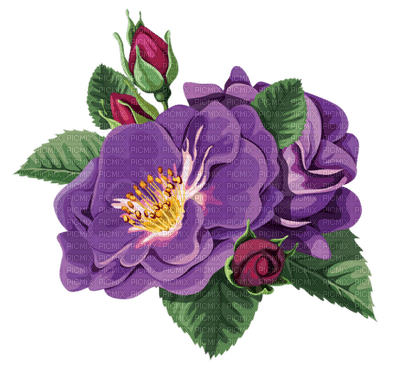 Kaz_Creations Deco Flowers Flower Colours - gratis png