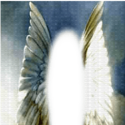 fond wings - 無料png