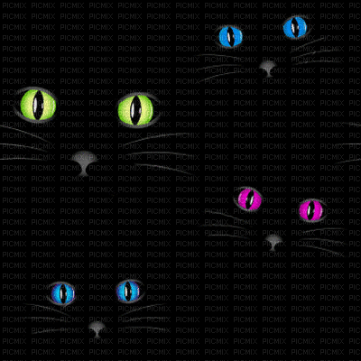 cat chat katzen eyes yeux augen colorful effect art  black noir fond background gif anime animated animation