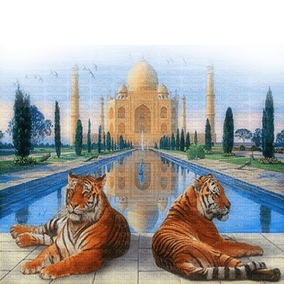 tigres TAJMAHAL  palacio dubravka4 - PNG gratuit