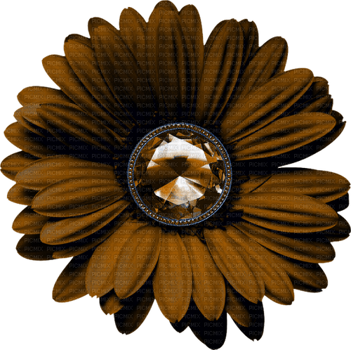 Flower.Brown - Free PNG