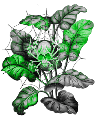 soave deco gothic halloween leaves branch skull - 免费PNG