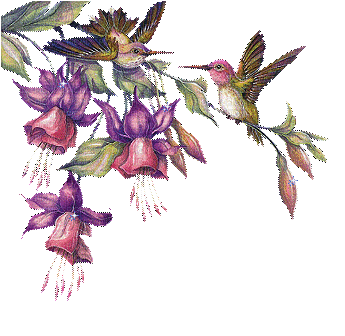 flores  pajaros gif dubravka4 - Animovaný GIF zadarmo