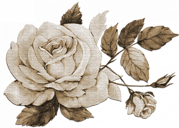 soave deco flowers rose sepia - PNG gratuit