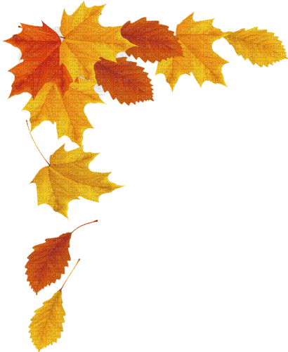 autumn Bb2 - kostenlos png