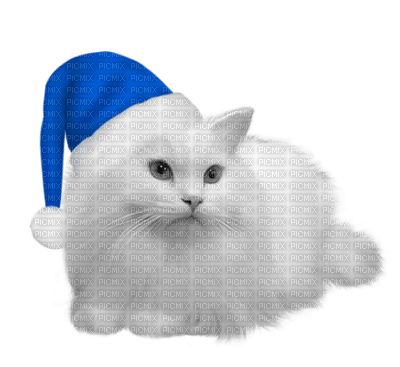 Kaz_Creations Cats Cat Kittens Kitten  Christmas - darmowe png