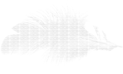 feather feder feathers ressort deco blanc weiß white  effect tube - 無料png