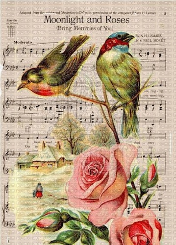 victorian pink  rose bird vintage - gratis png