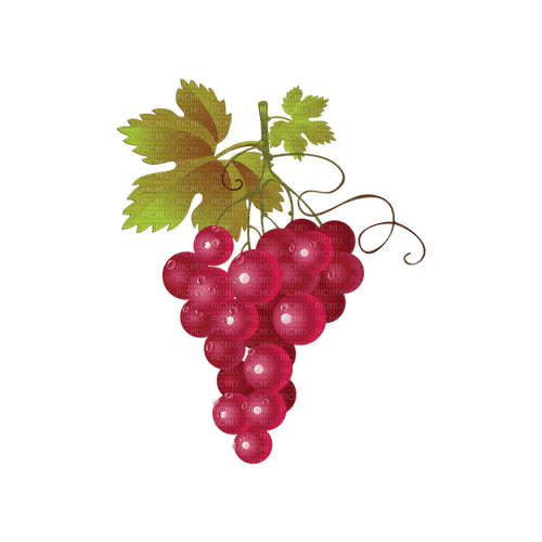 kikkapink deco scrap grape grapes - png gratis